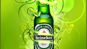 Sociis fringilla wisi